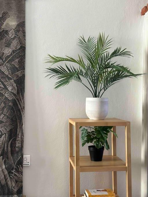 Xenia Apartments - Charming Garden Suite In Porta Venezia Milano Dış mekan fotoğraf