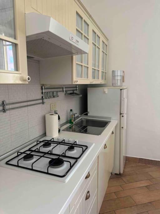Xenia Apartments - Charming Garden Suite In Porta Venezia Milano Dış mekan fotoğraf